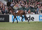 Forkert_For Friendship_DerbyHamburg2014_SS7_6967.jpg : Derby, For Friendship, Forkert Marten, Global Champions Tour, Hamburg GCT2014, Stefano Secchi ©